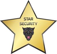 logo security star
